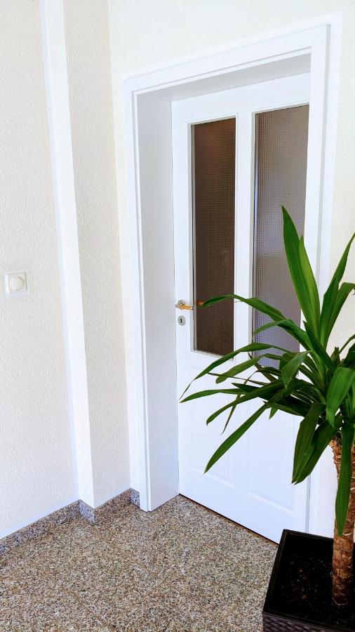 Ferienwohnung Fischerteich In ديتمولد المظهر الخارجي الصورة